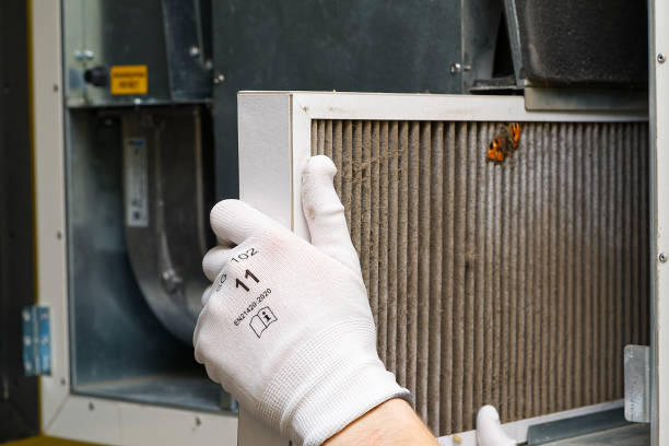 Best Mold and Mildew Removal from Ducts in Inverness Highlands South, FL